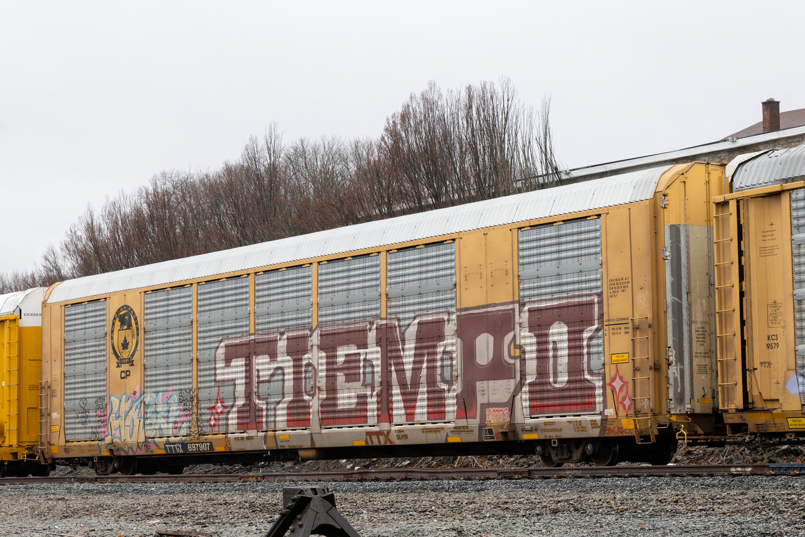 TTGX 697907
