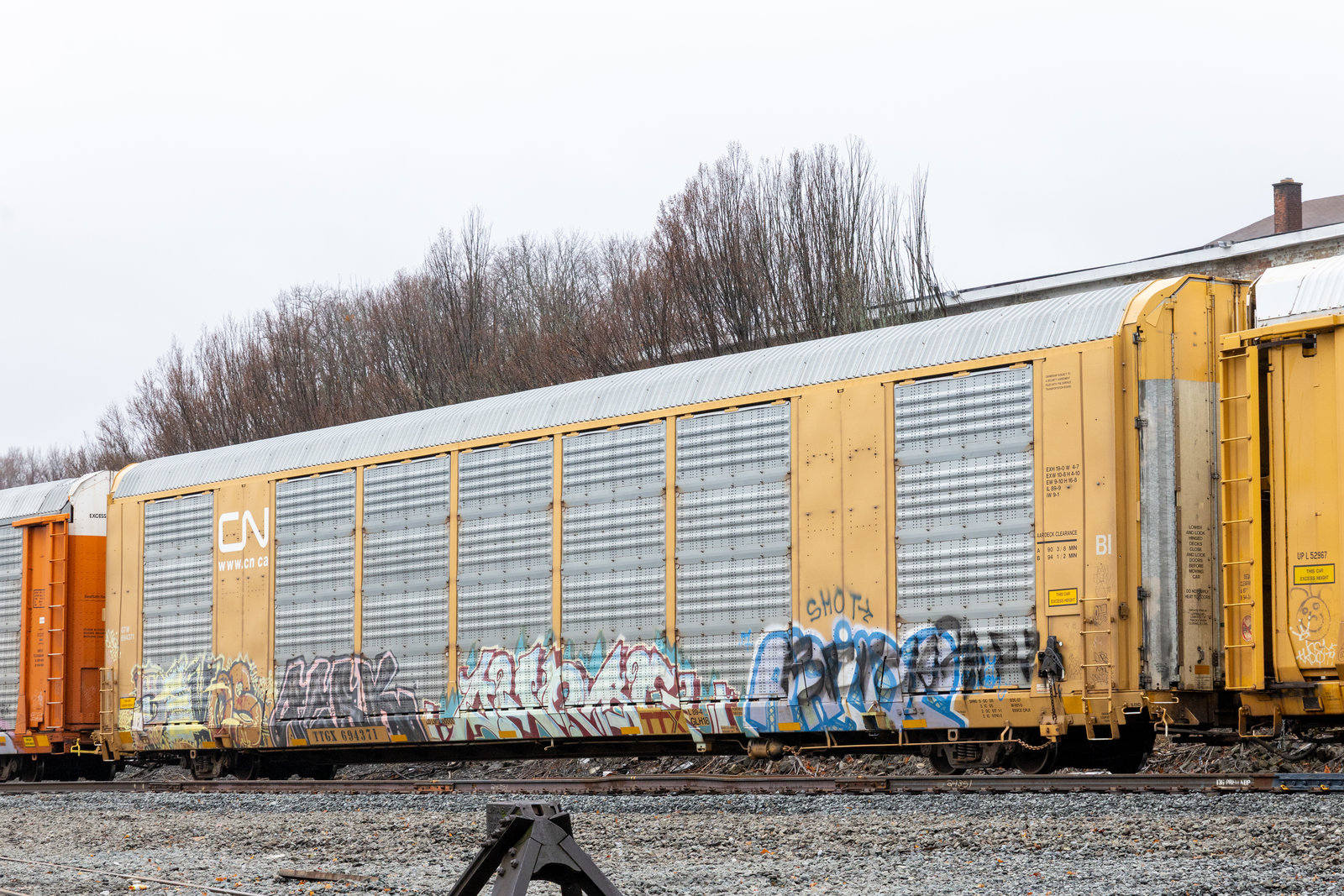 TTGX 694371