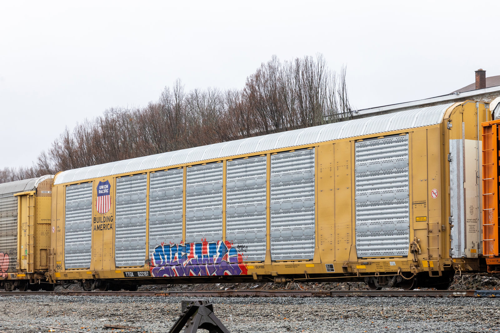 TTGX 822187