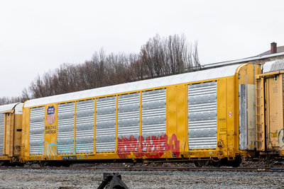 TTGX 698711