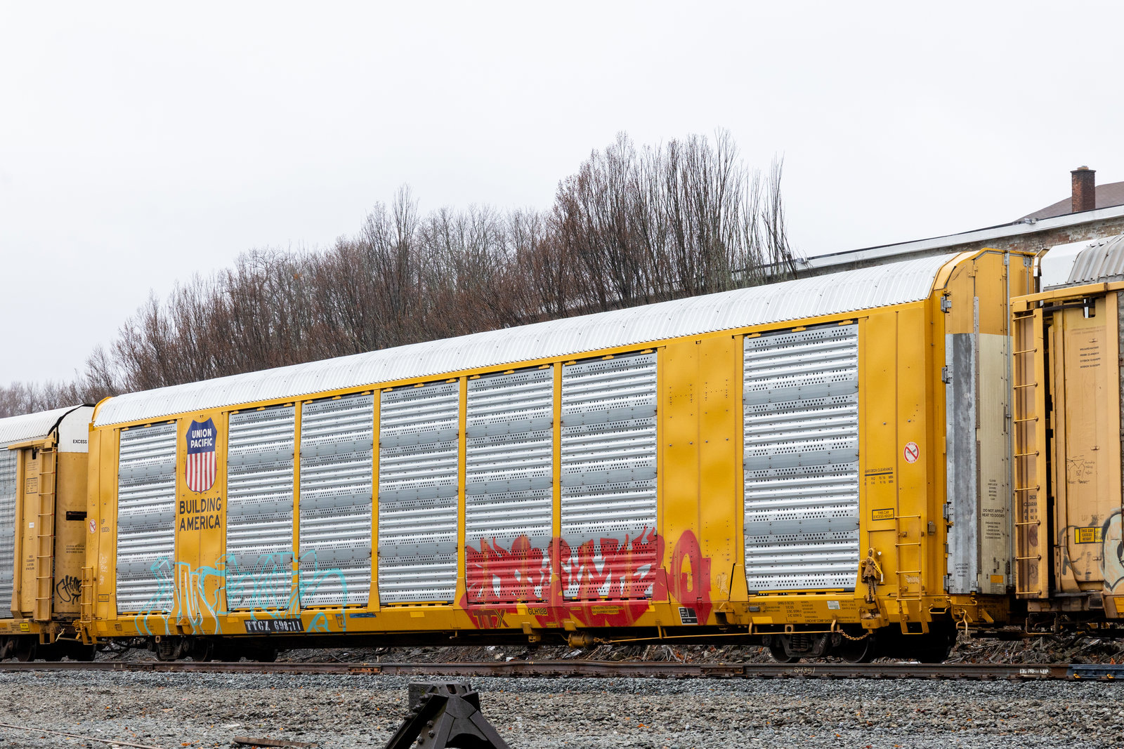 TTGX 698711