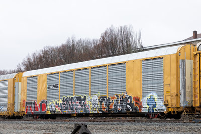 TTGX 997252