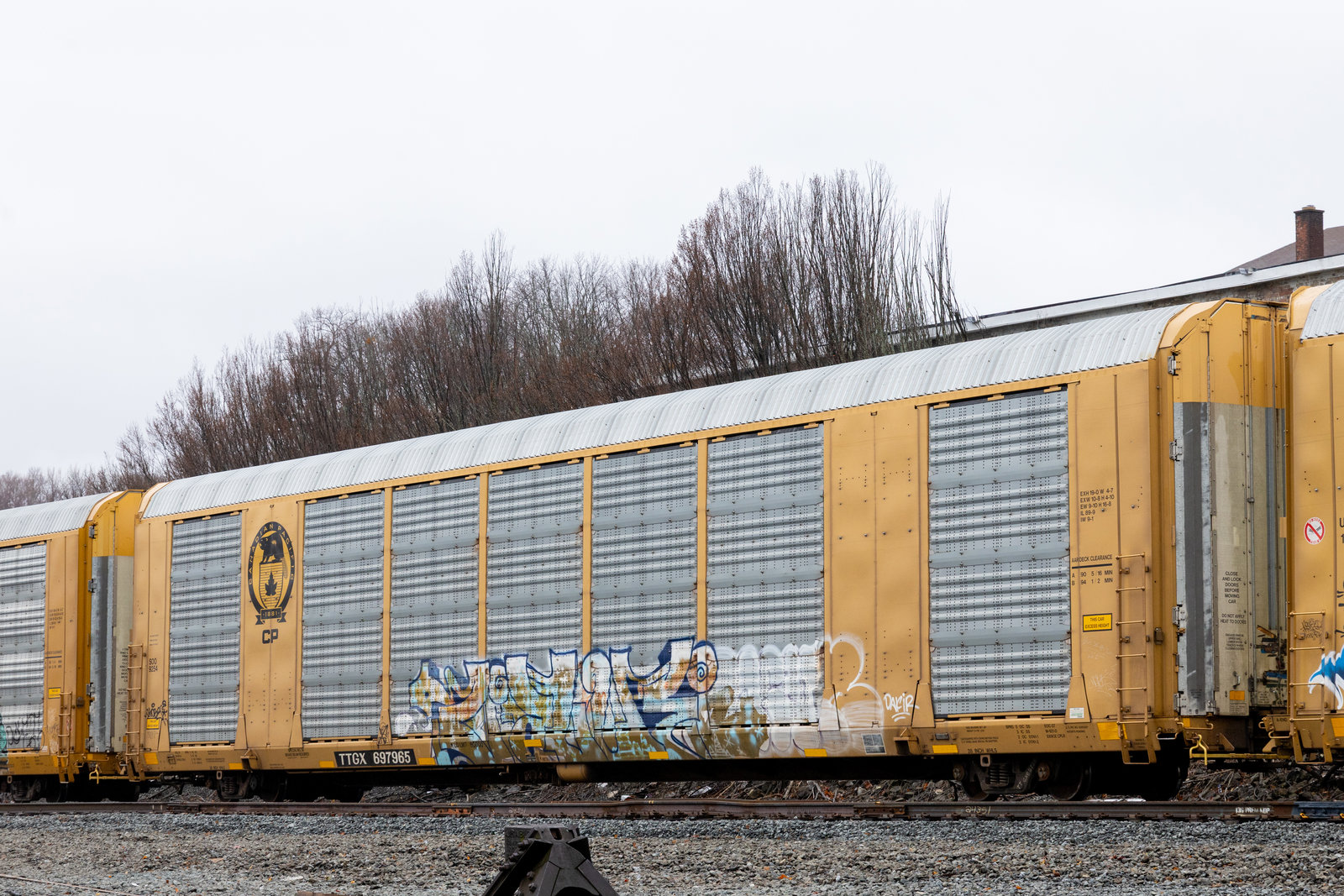 TTGX 697965