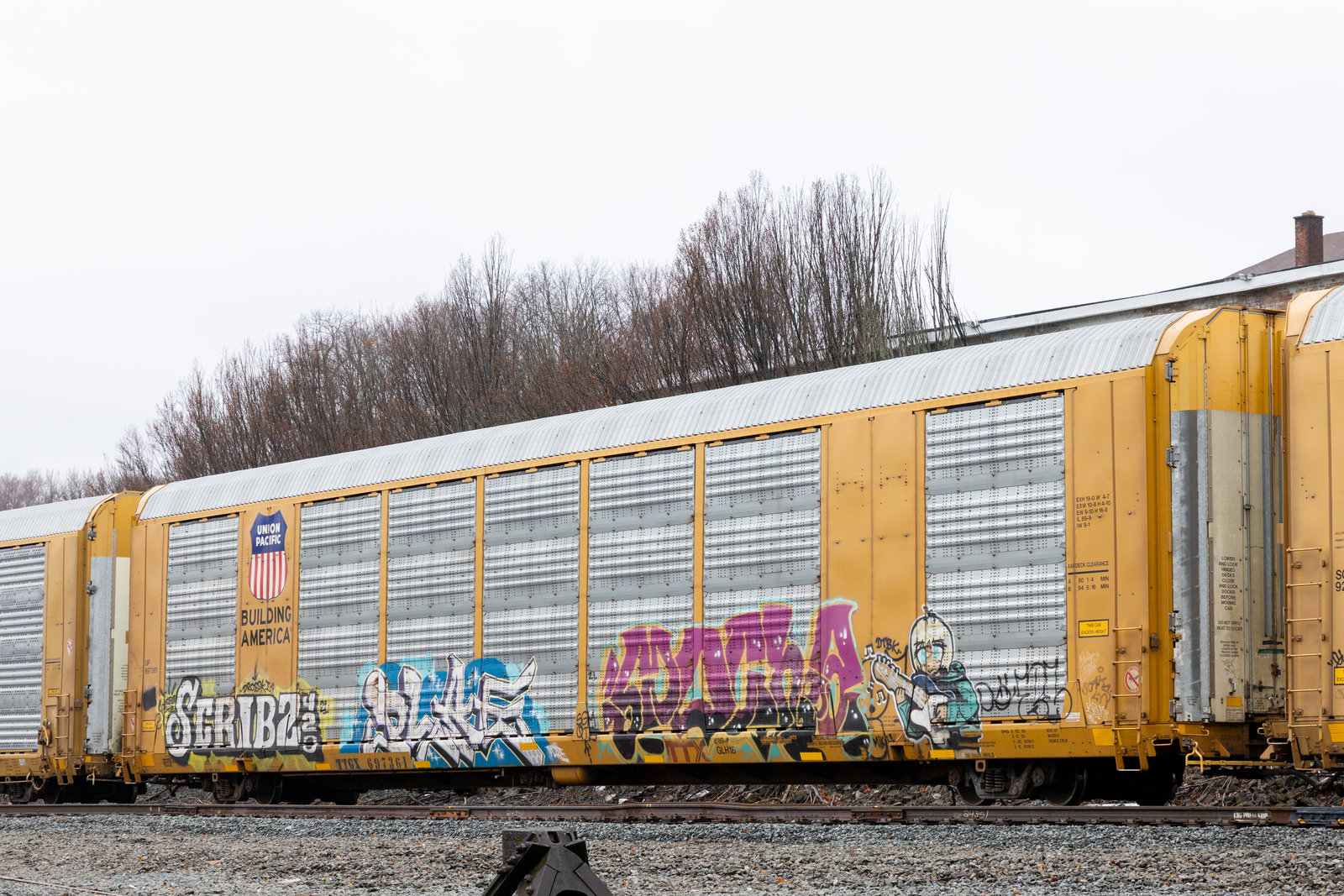 TTGX 697361