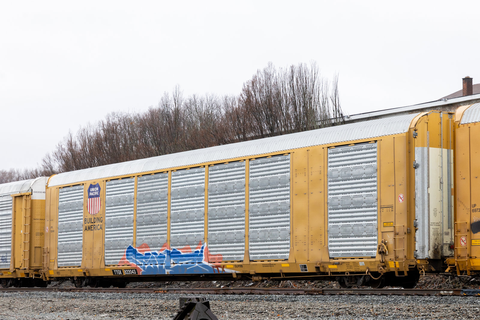 TTGX 822043