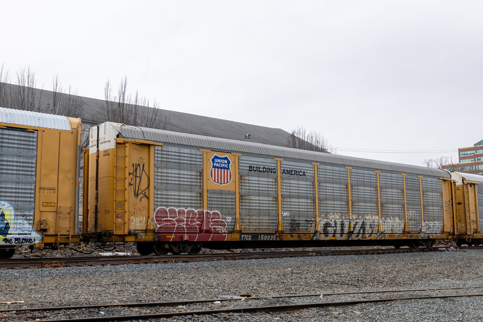 TTGX 159935
