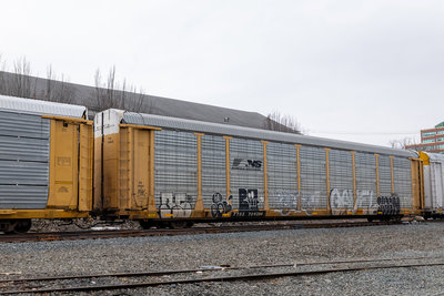 TTGX 704264