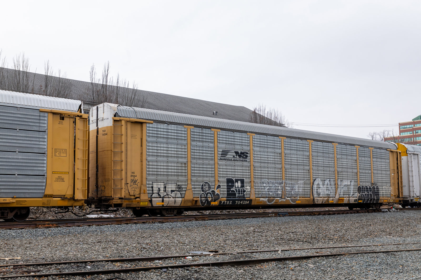 TTGX 704264