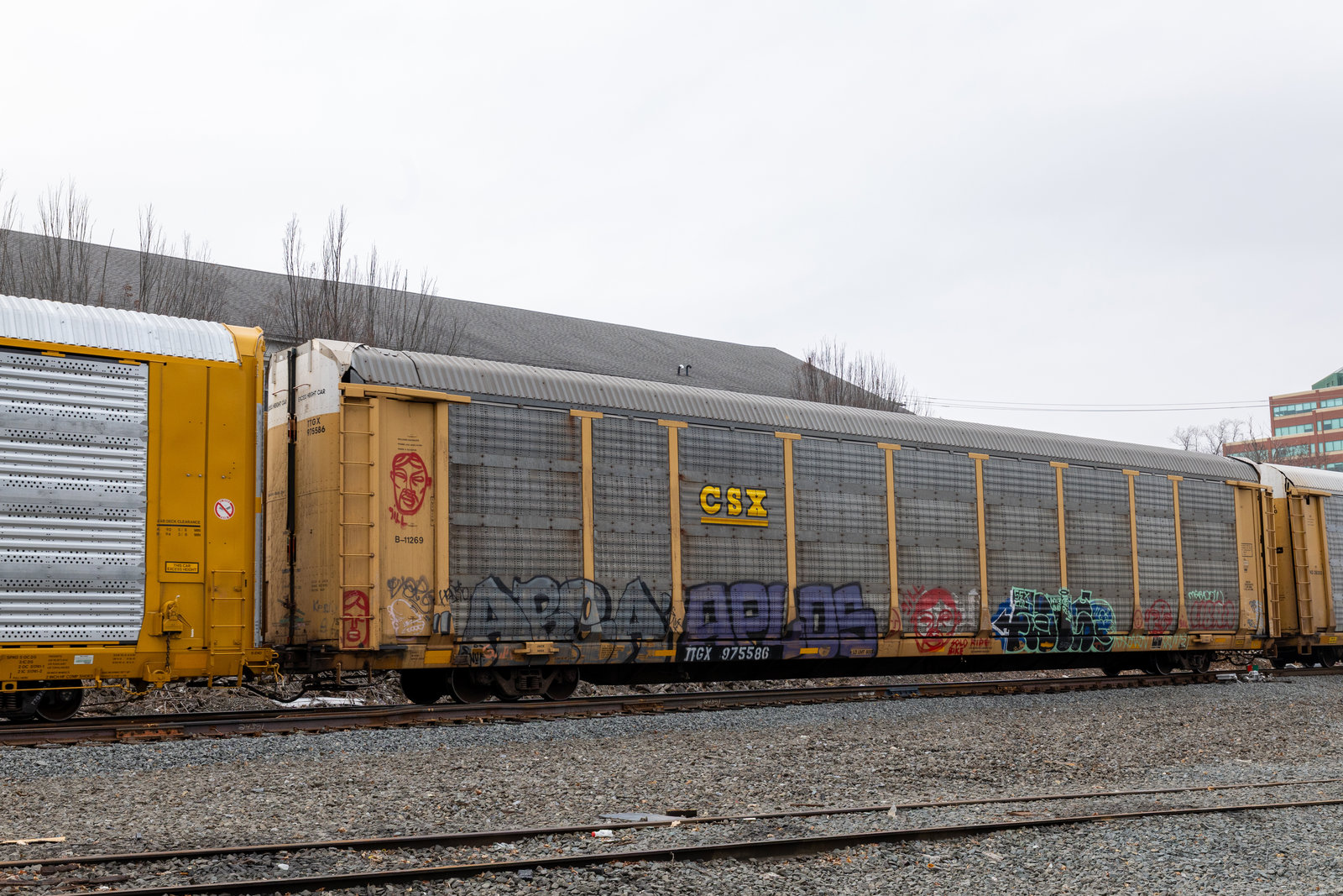 TTGX 975586