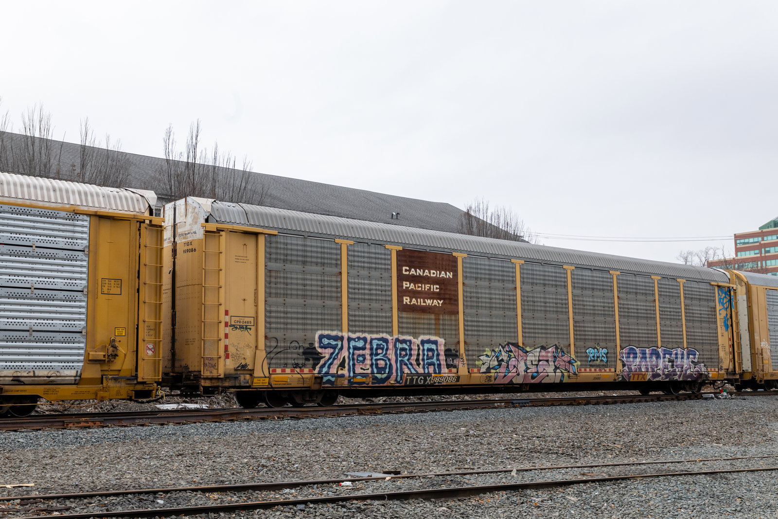 TTGX 989086
