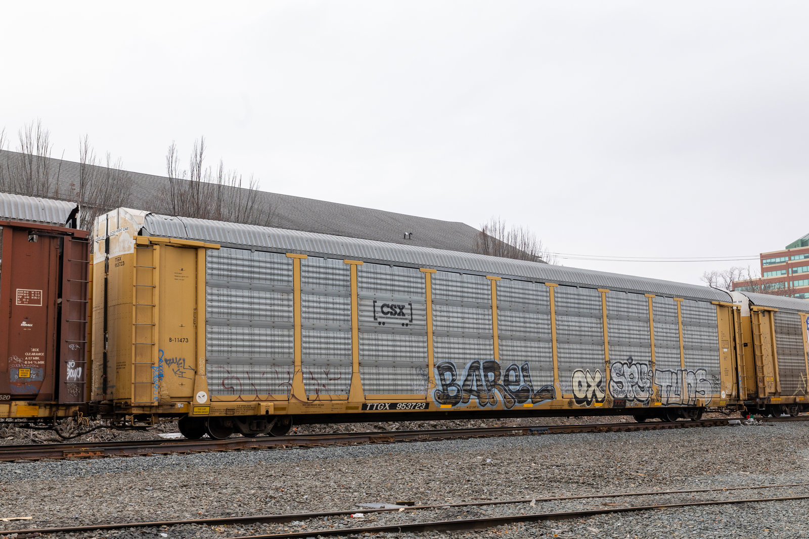 TTGX 953723
