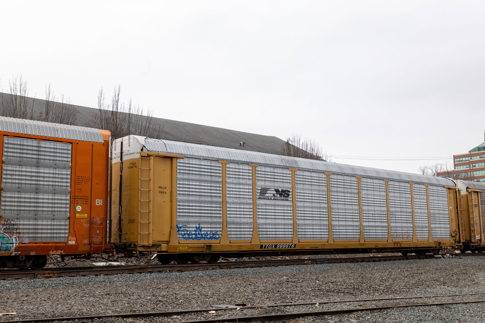 TTGX 988676