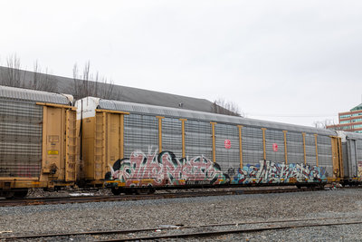 TTGX 705058