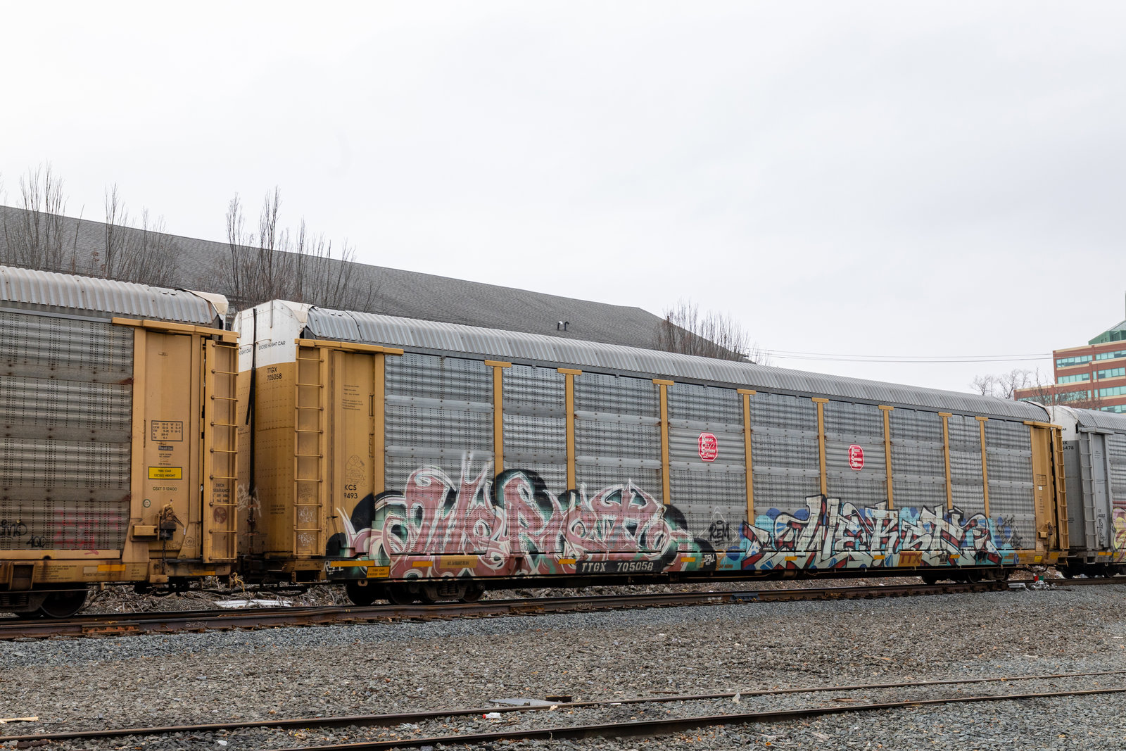 TTGX 705058
