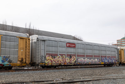 TTGX 706478