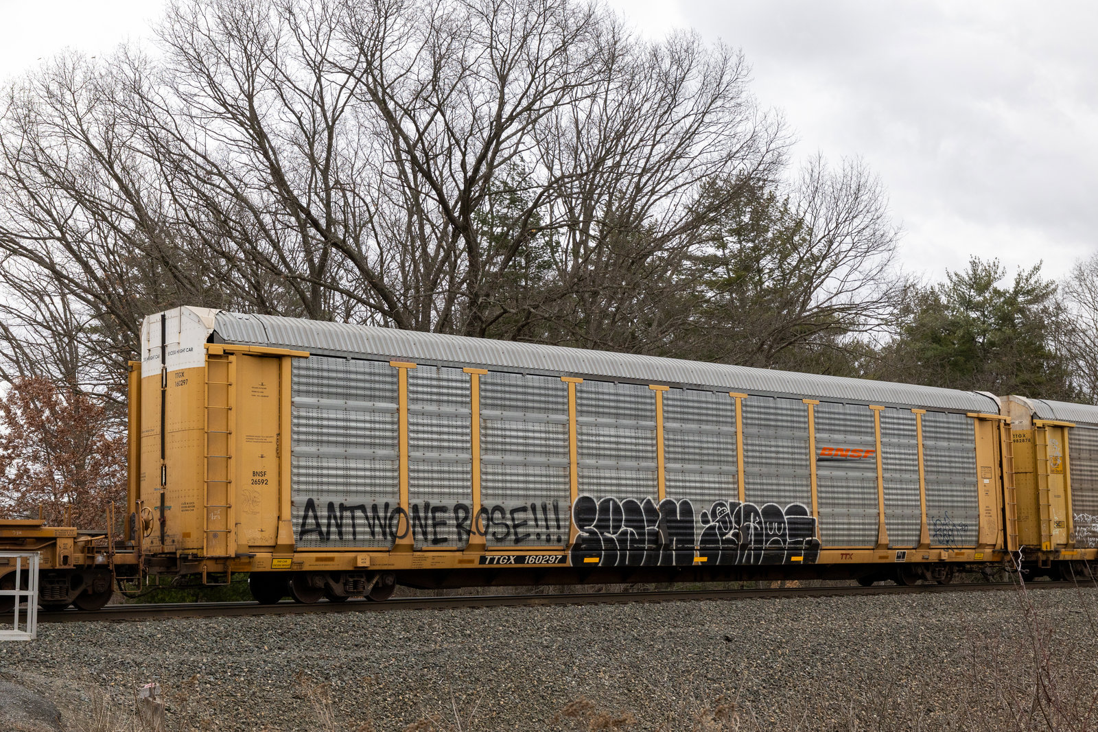 TTGX 160297