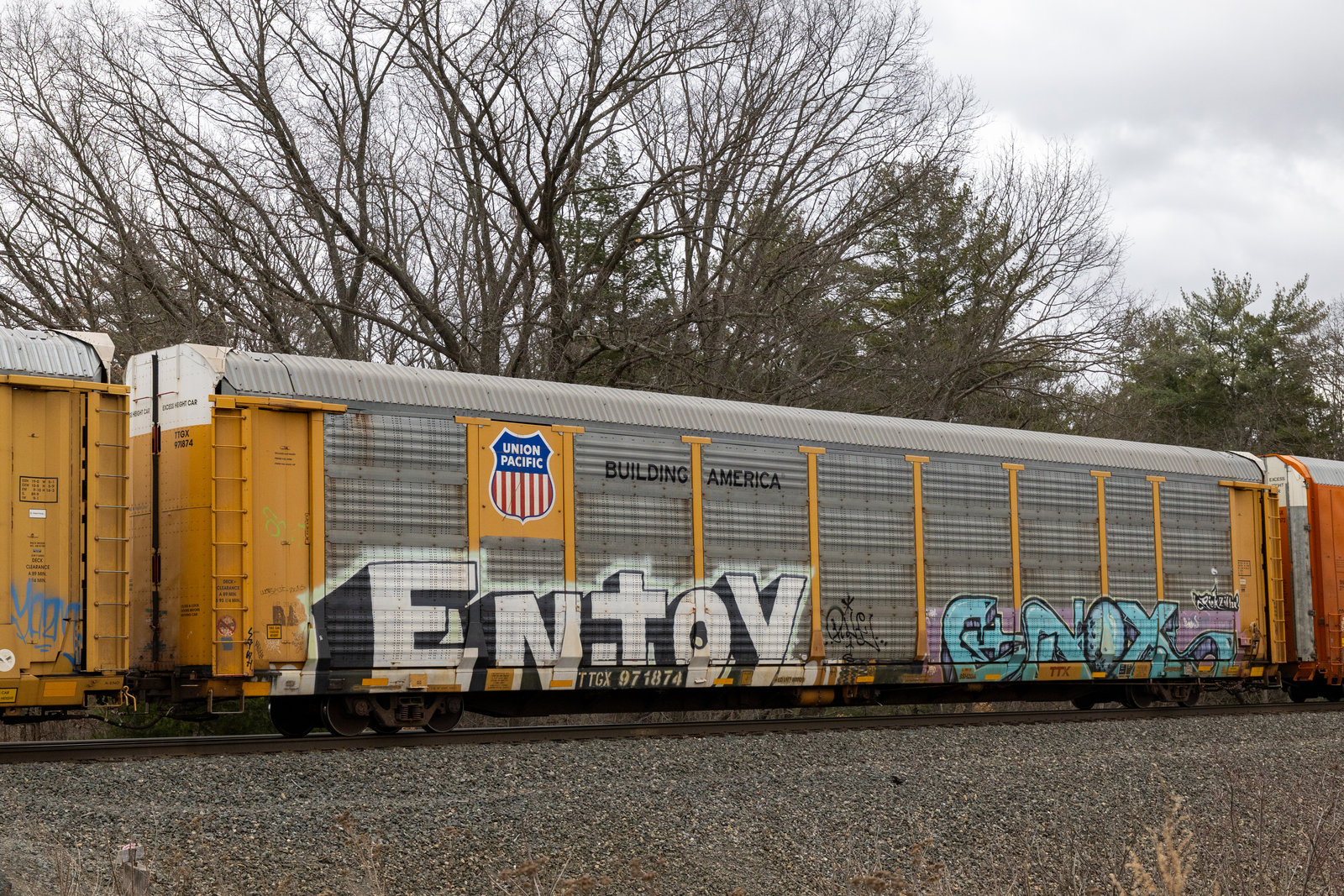 TTGX 971874