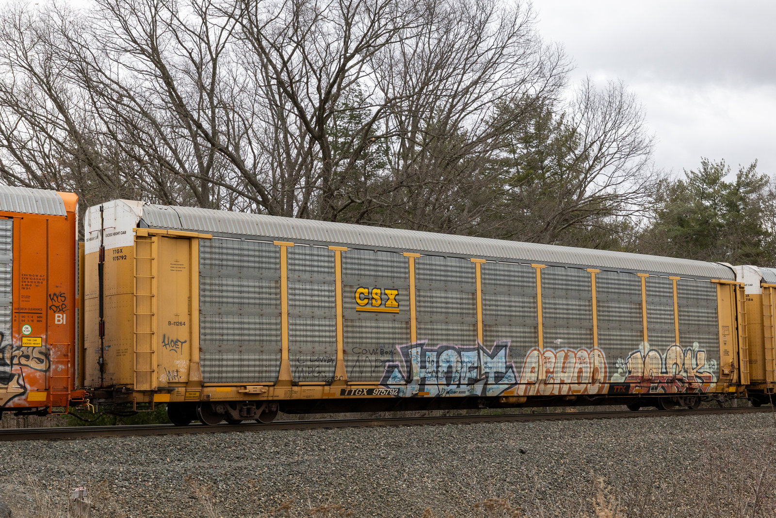 TTGX 975792