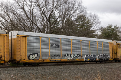 TTGX 707186