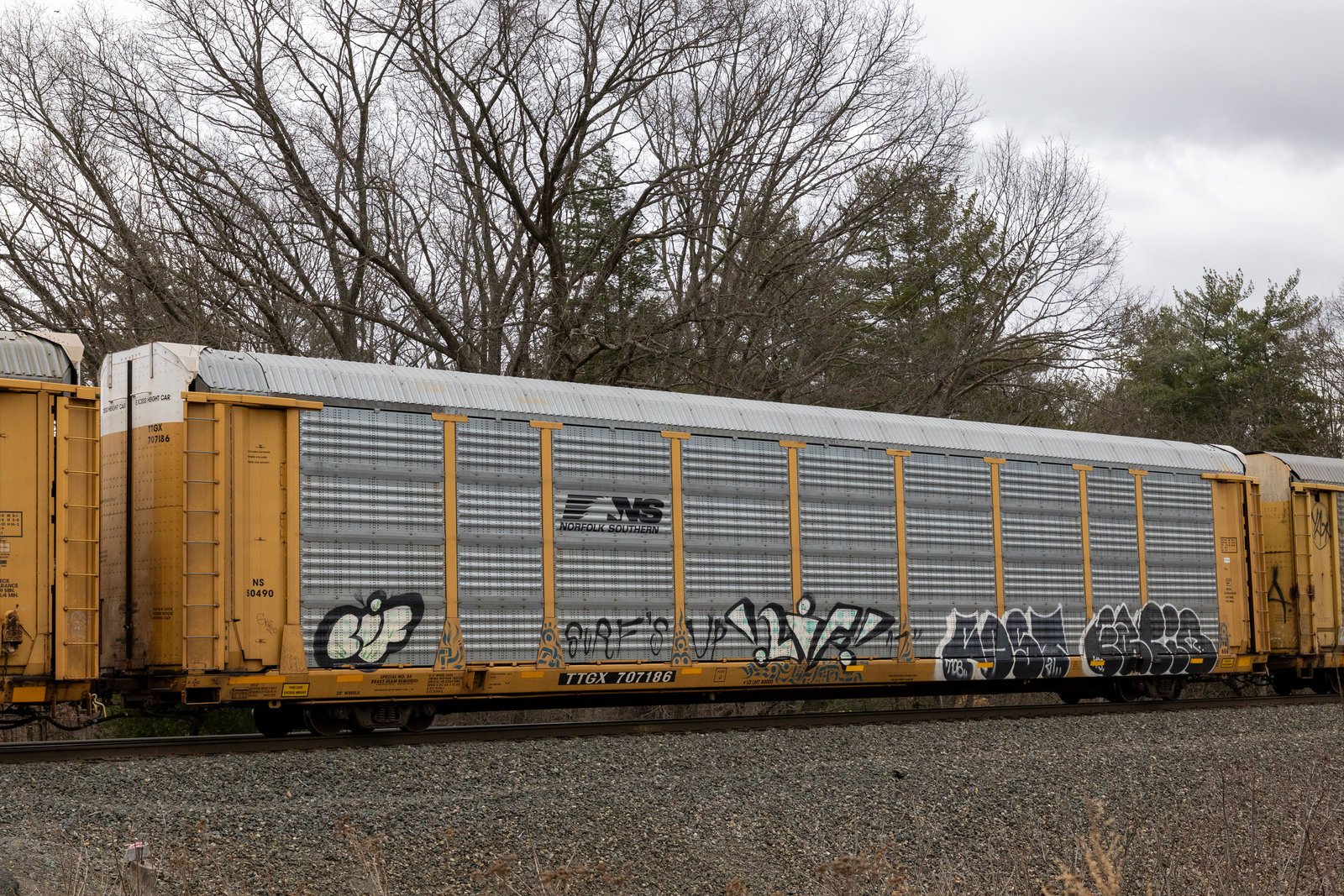 TTGX 707186