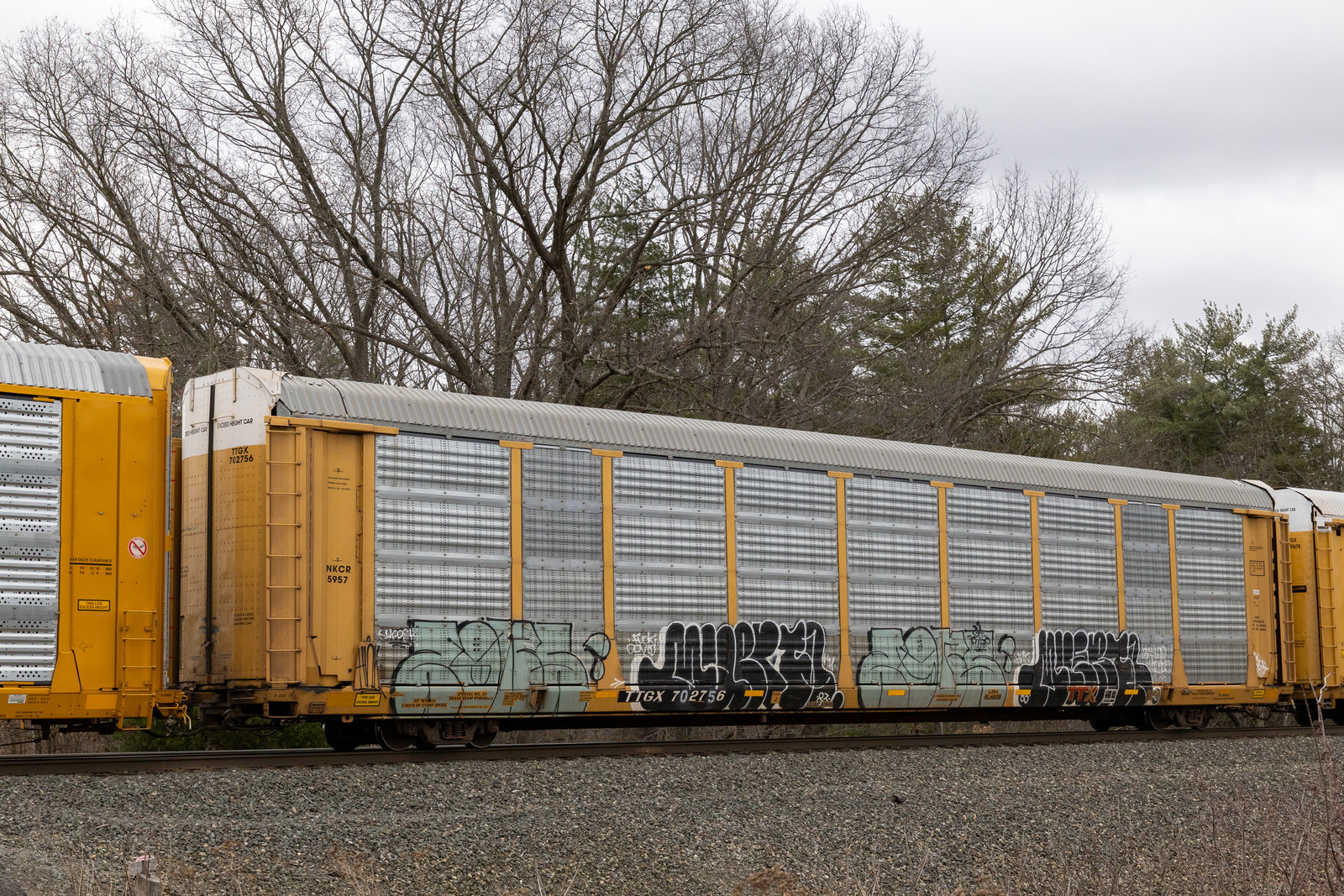 TTGX 702756