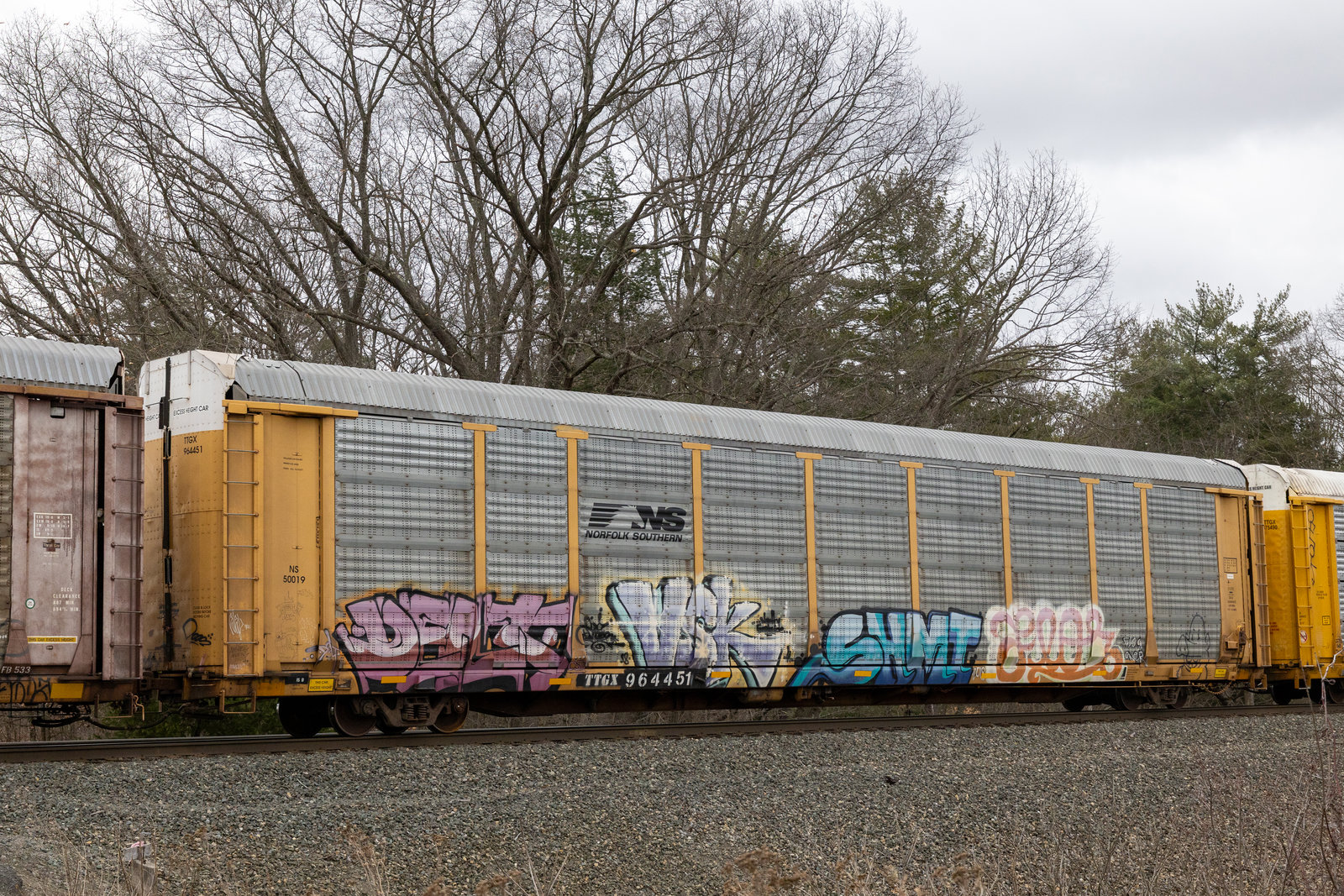 TTGX 964451