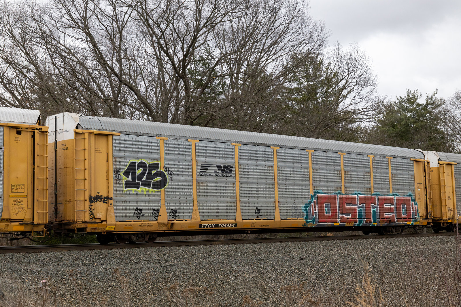 TTGX 704424
