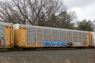 TTGX 952568