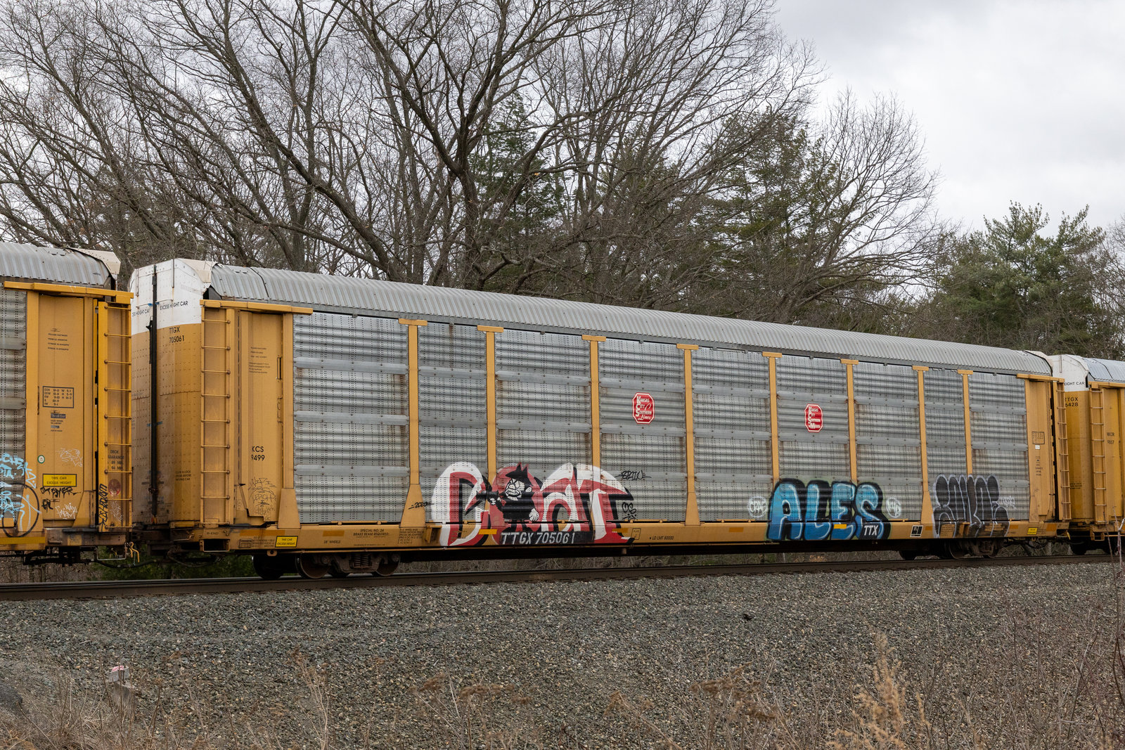 TTGX 705061