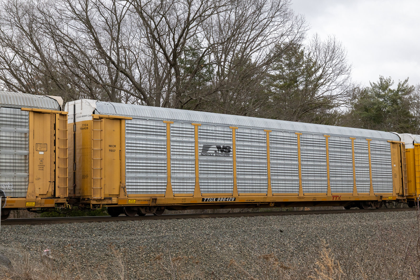 TTGX 986428
