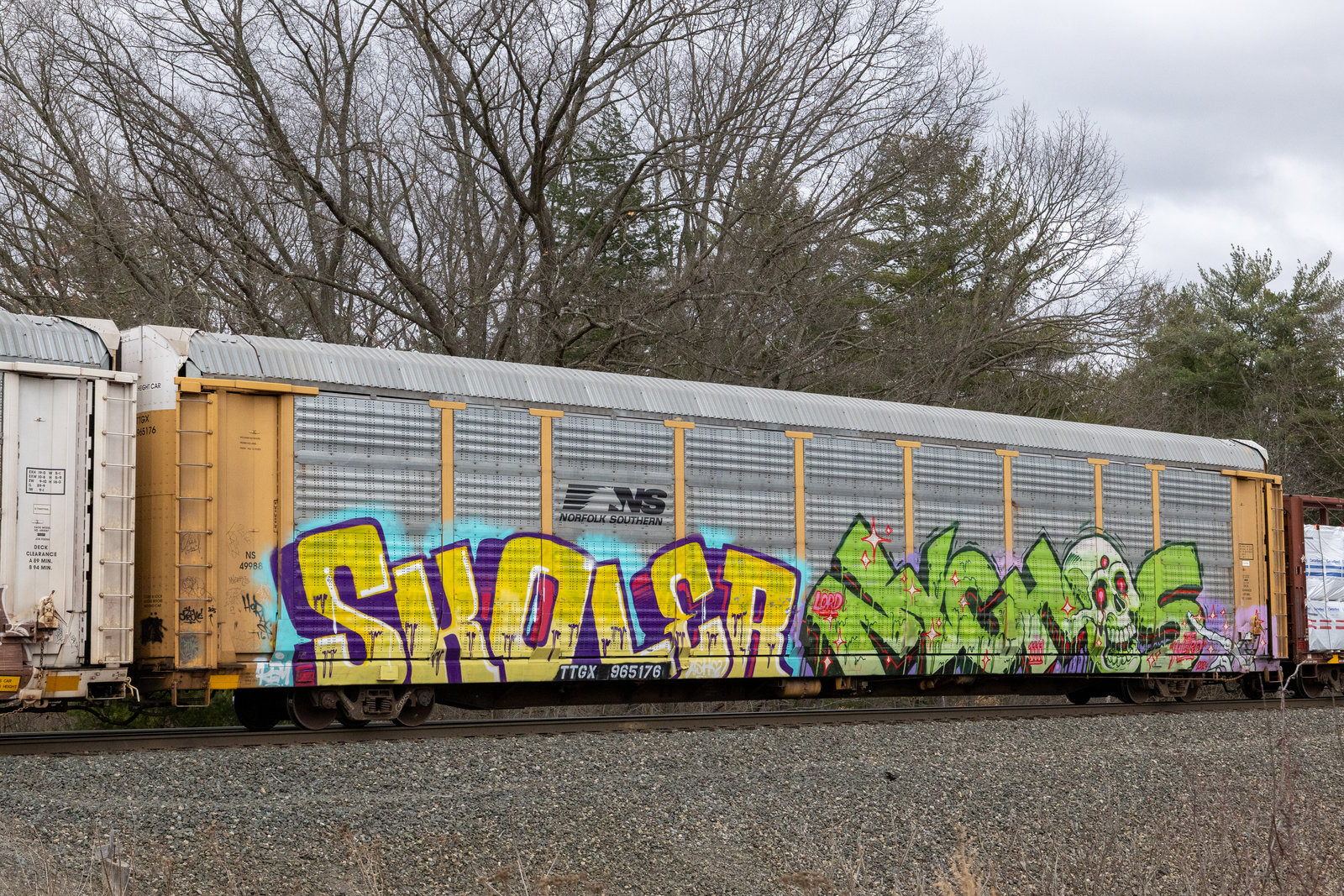 TTGX 965176