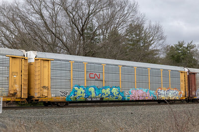 TTGX 706352