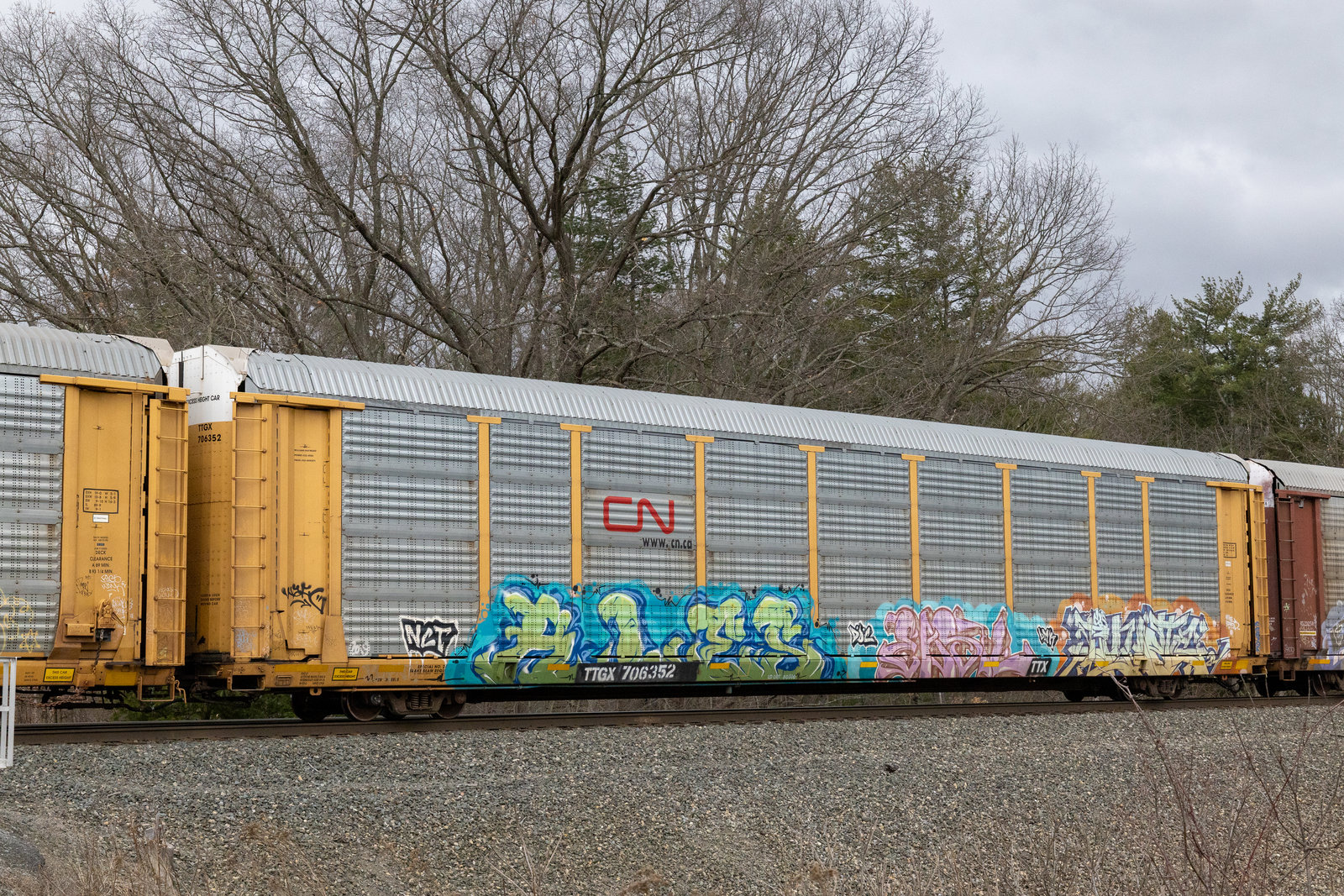 TTGX 706352