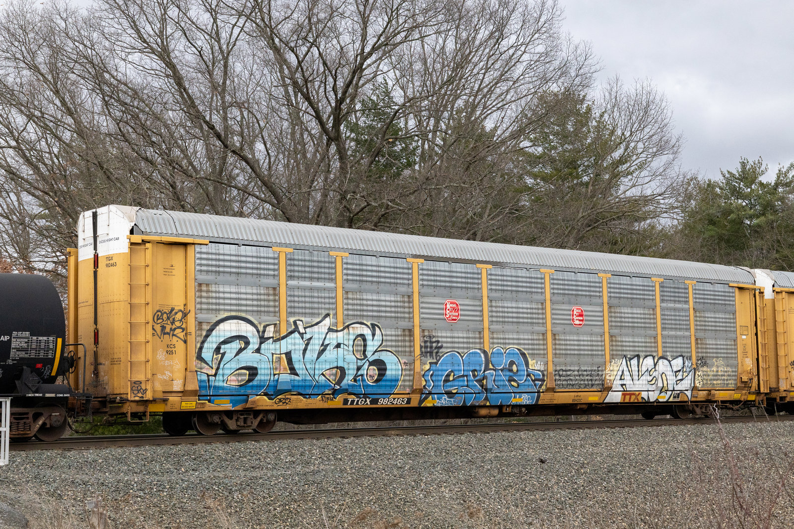 TTGX 982463