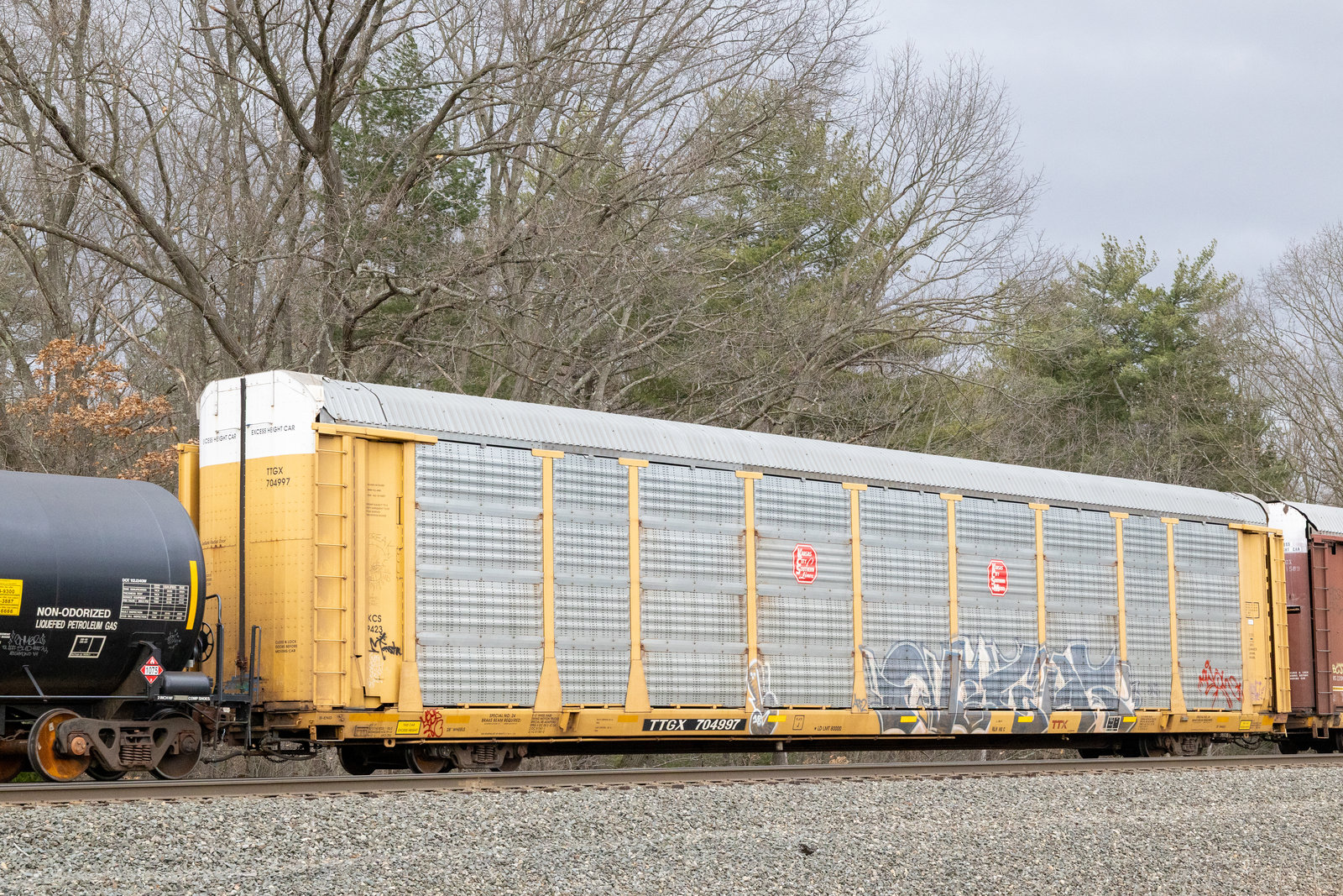 TTGX 704997