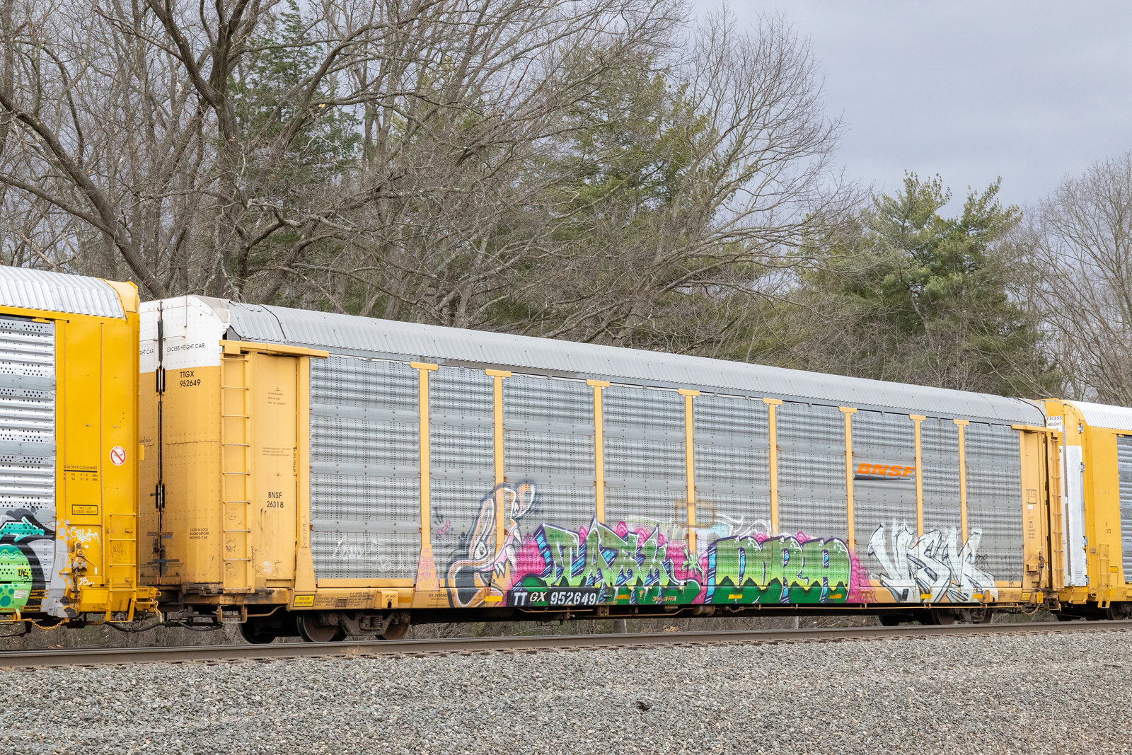 TTGX 952649