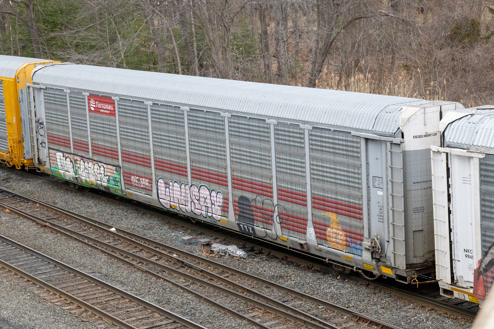 TTGX 707299