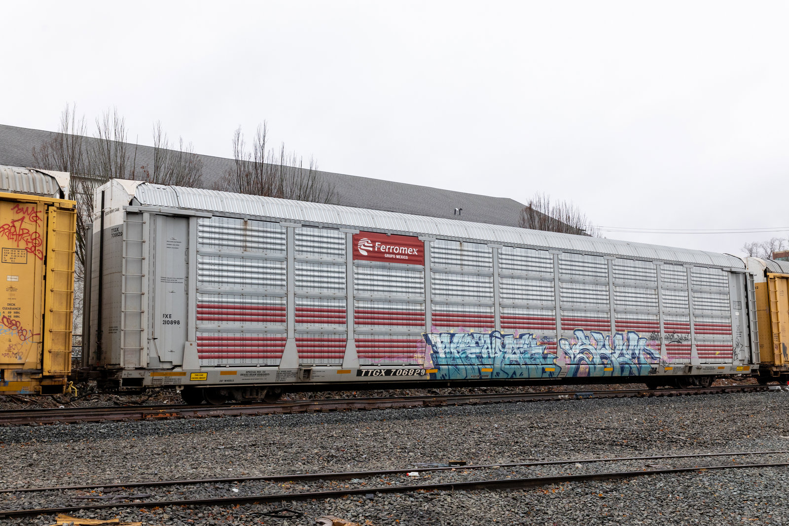 TTGX 706829