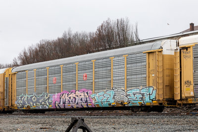 TTGX 705141