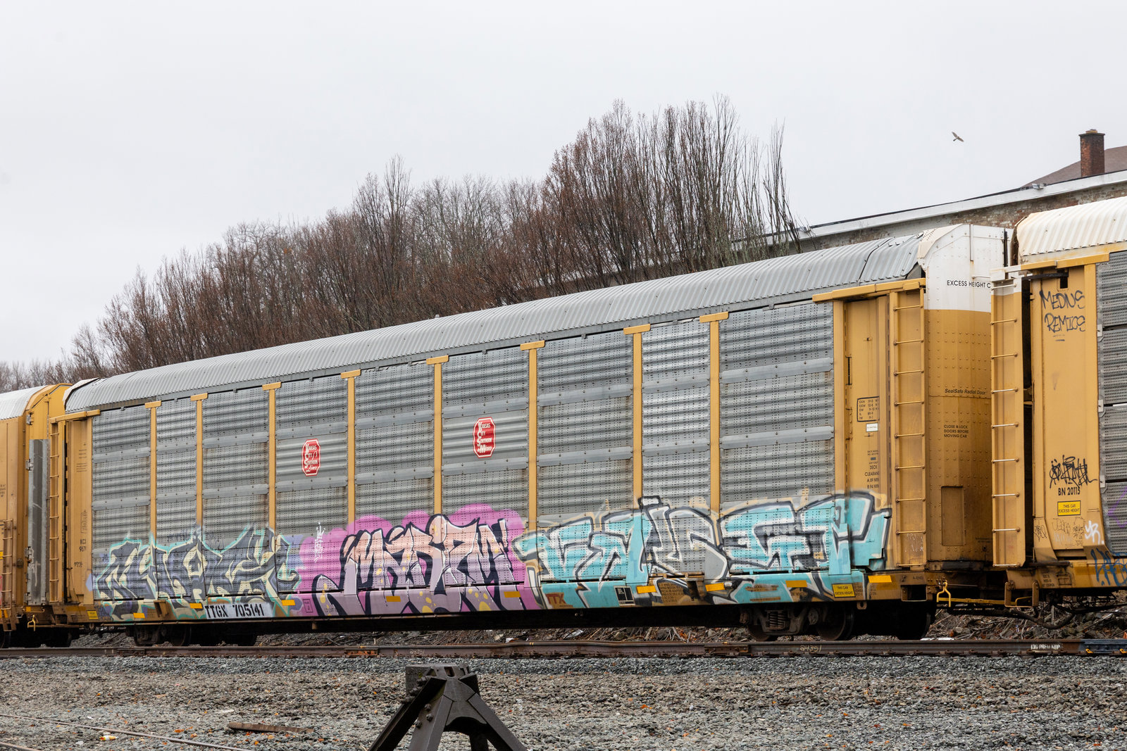 TTGX 705141
