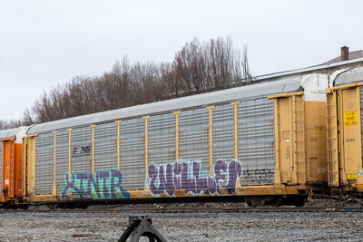 TTGX 704353