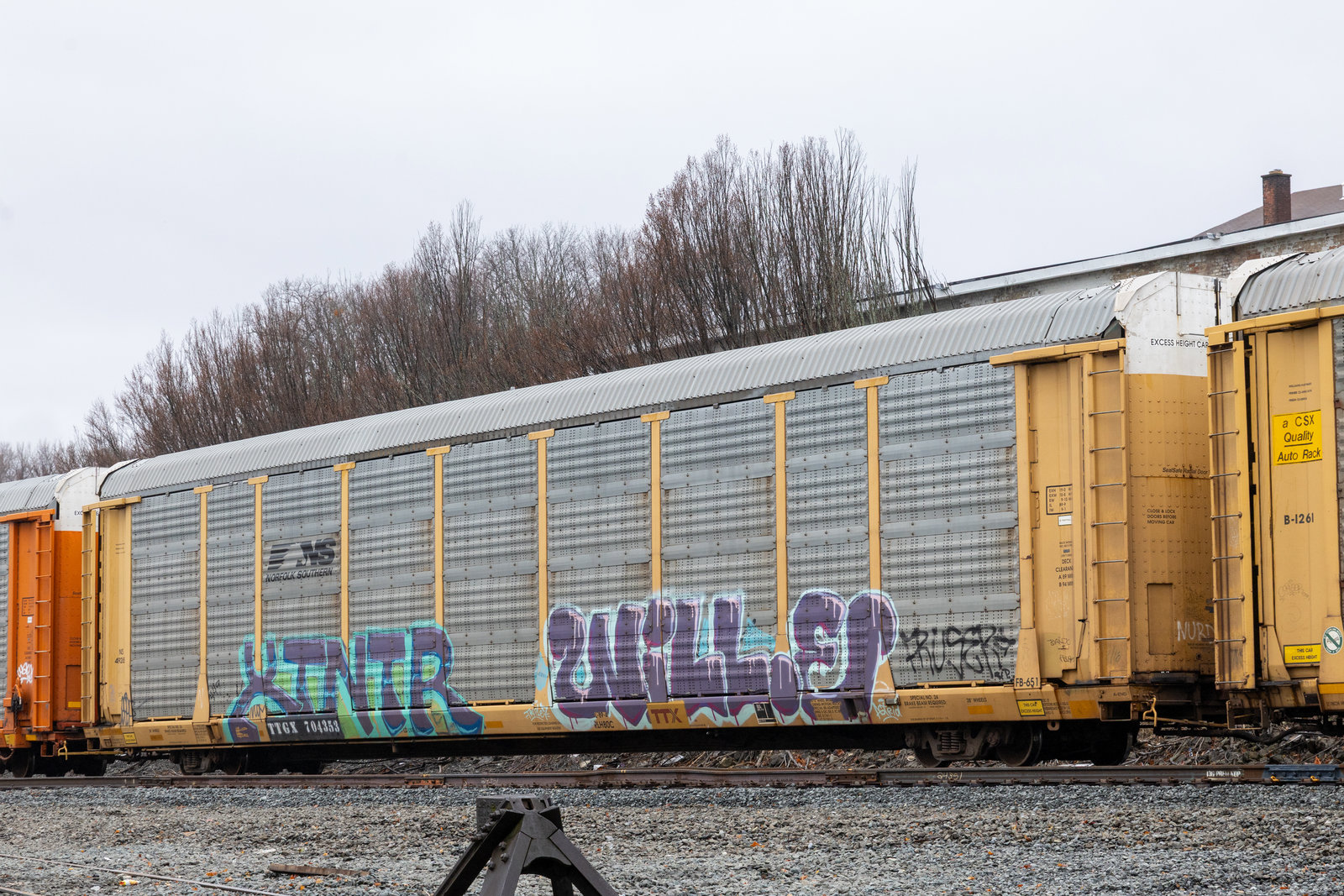TTGX 704353