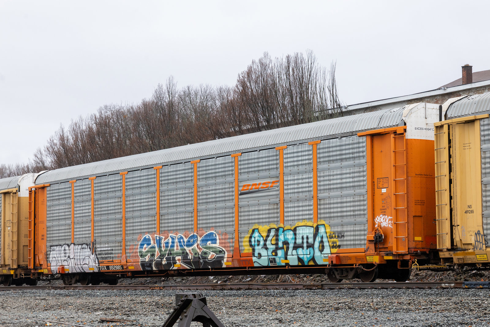 TTGX 952985