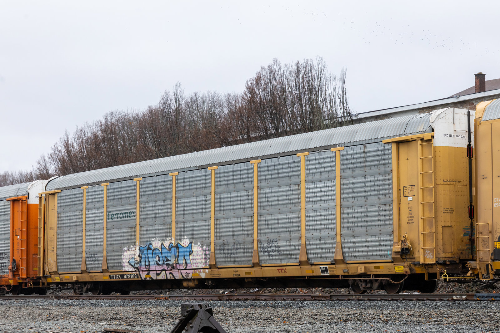 TTGX 979168