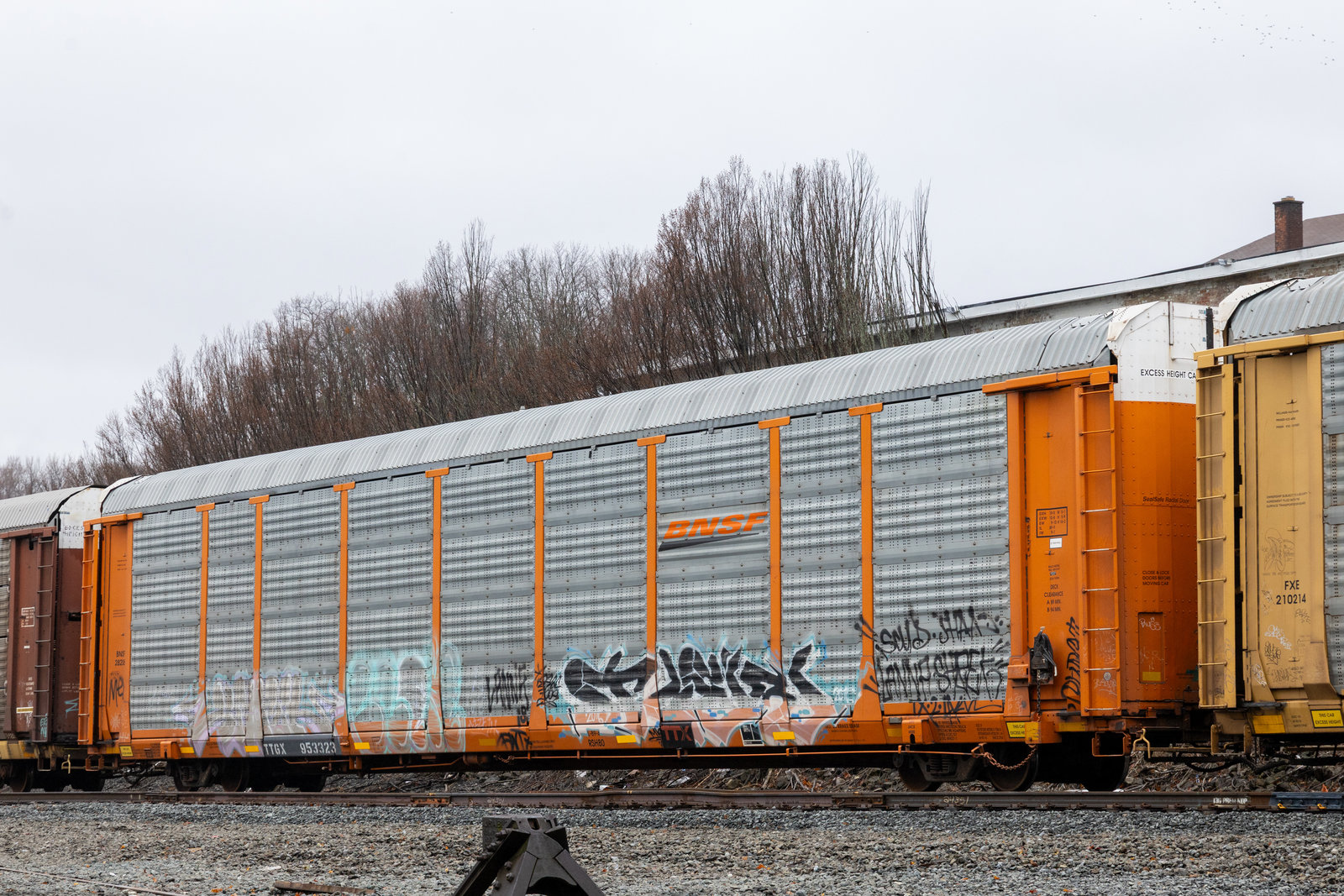 TTGX 953323