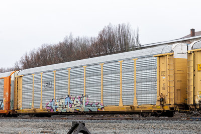 NKCR 7336