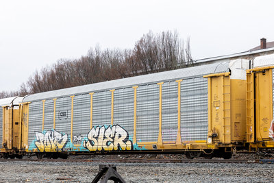 TTGX 953752