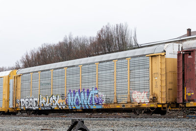 TTGX 942554