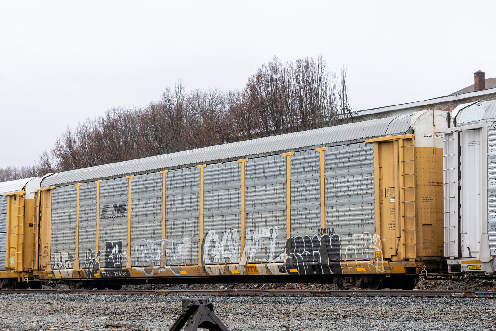 TTGX 704264