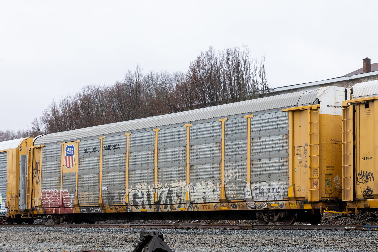 TTGX 159935